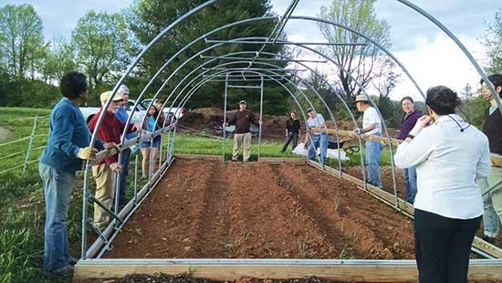 Community garden members put up a greenhouse to extend their season and grow even more cold-hardy crops, such as greens and carrots.